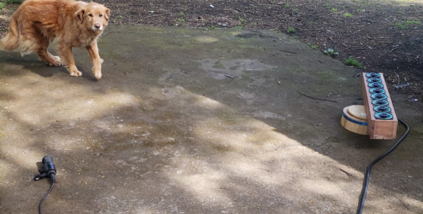 Blue — 35° OFF AXIS